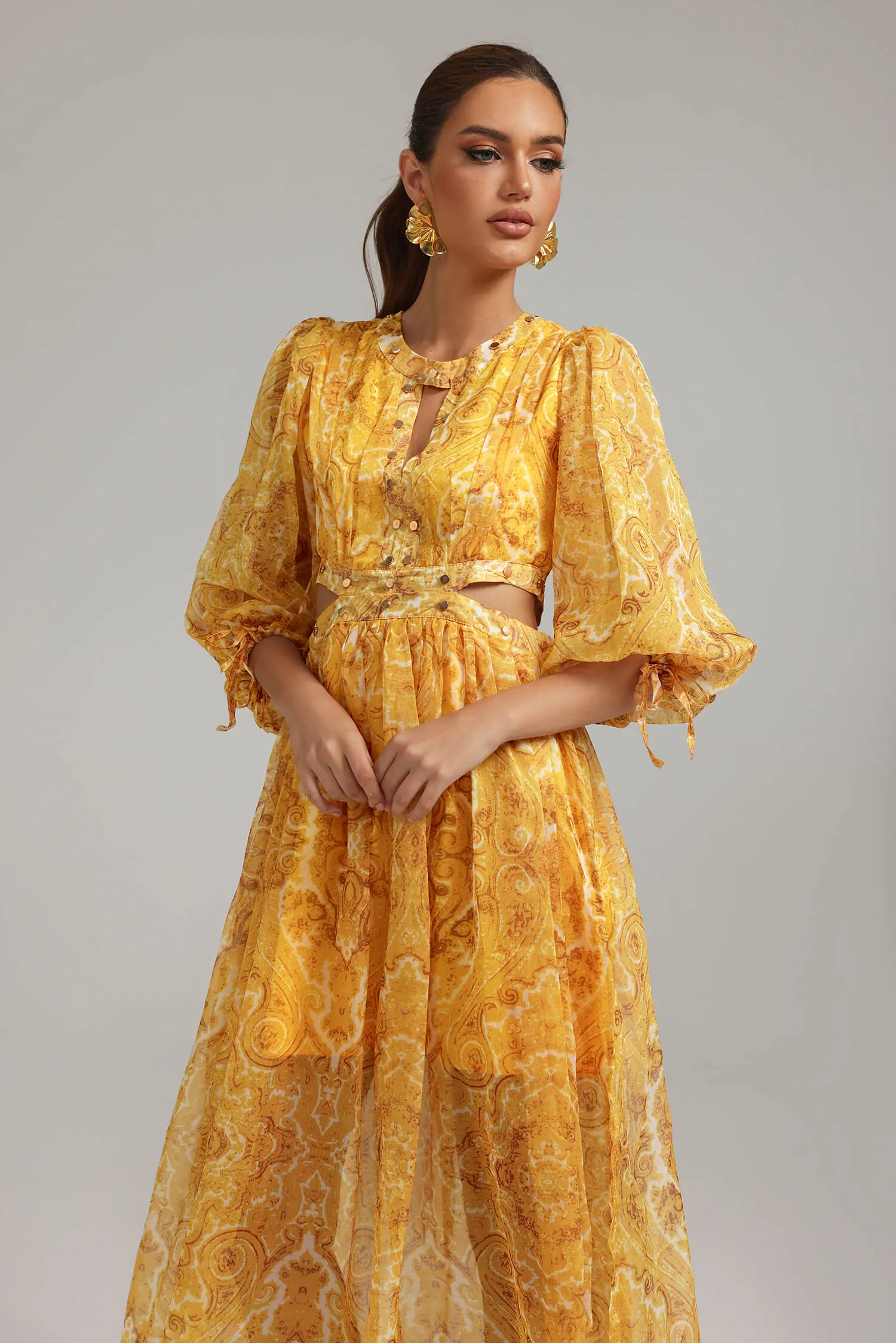 Lantern Sleeves Printed Dress - Lorena