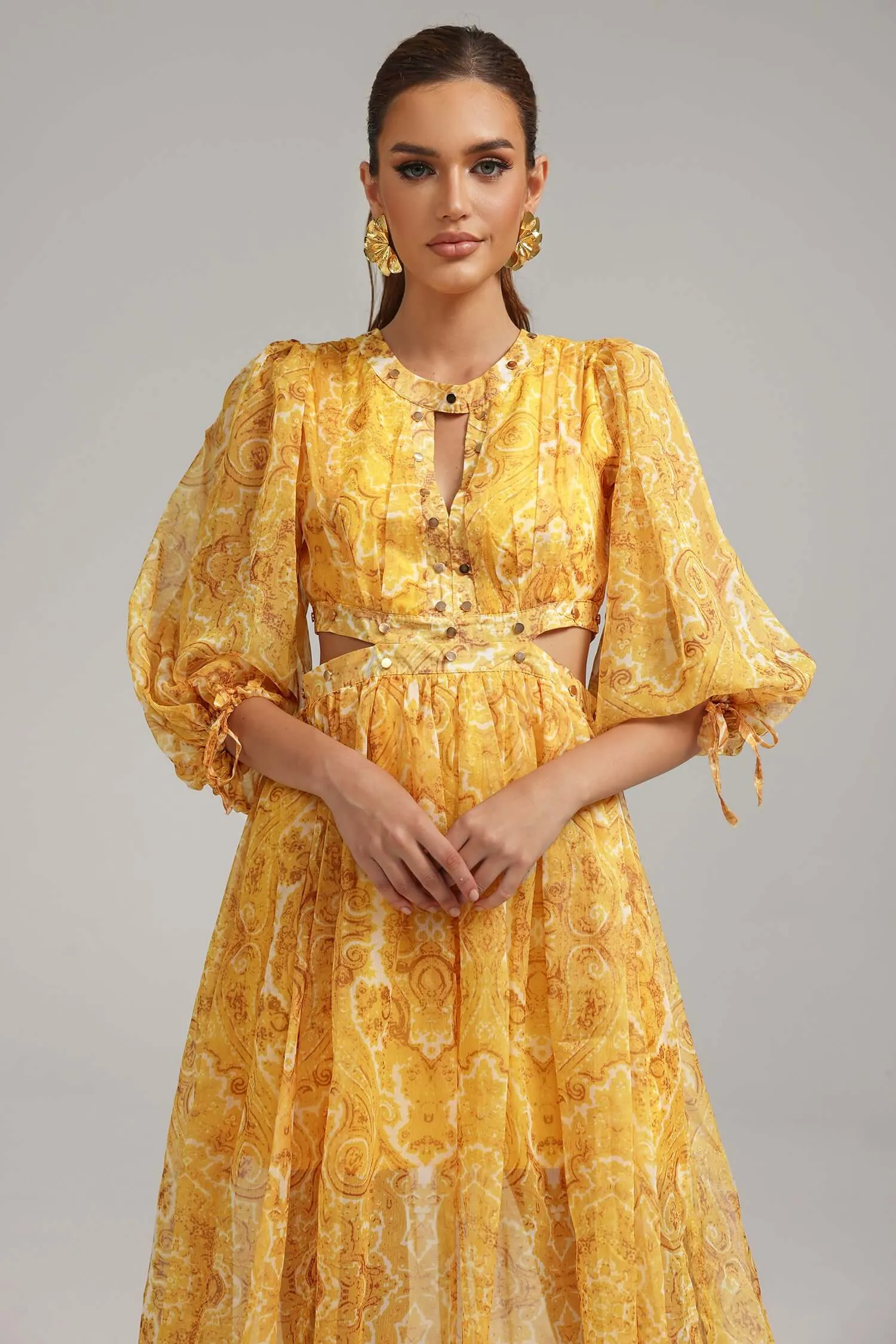 Lantern Sleeves Printed Dress - Lorena