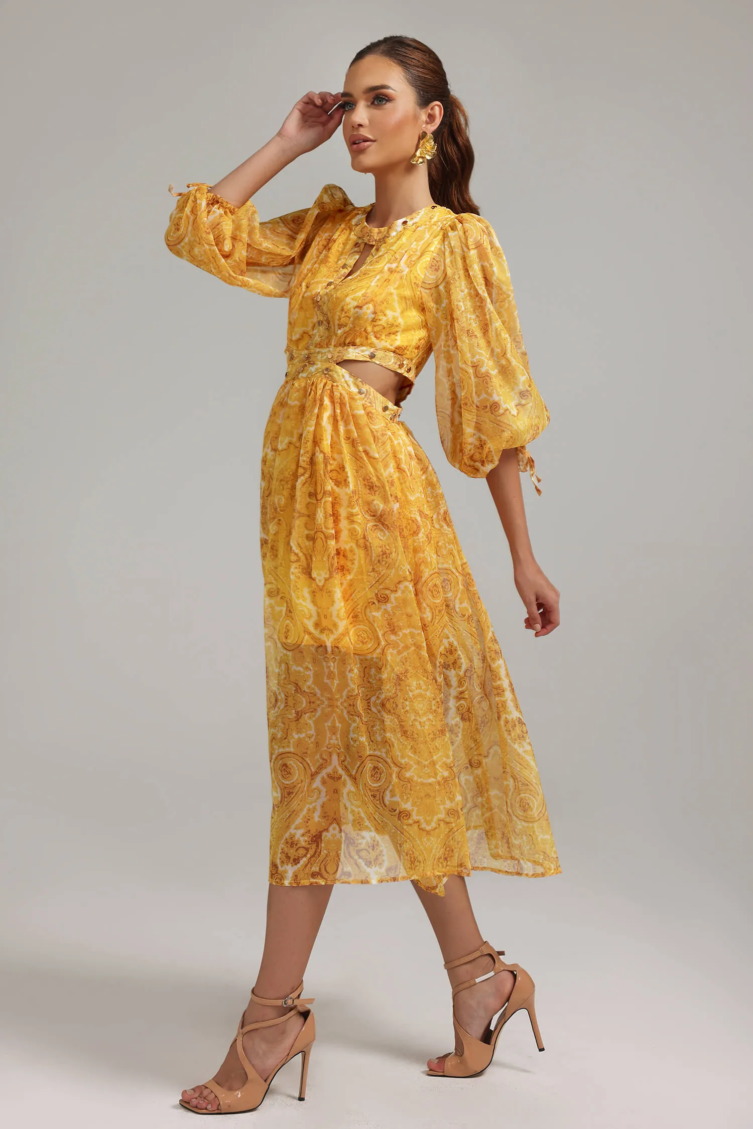 Lantern Sleeves Printed Dress - Lorena