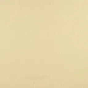 Novelty Chiffon Solid - 194 - Ivory